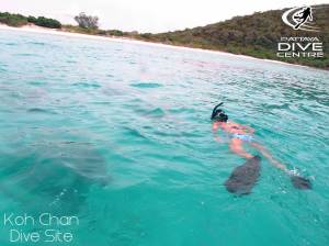 koh-chan-dive-site--snorkeling-pattaya-thailand