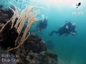 koh-sak-deep-reef-dive-site-thailand