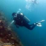 Pattaya-dive-centre-Rayong-dive-trip20