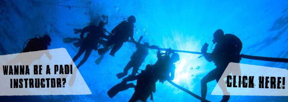 Dive-instructor-diving-internship-thailand