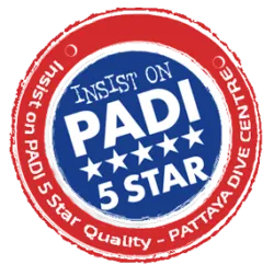 PADI-5STAR-PATTAYA-DIVE-CENTRE PADI-5STAR-PATTAYA-DIVE-CENTRE