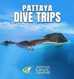 Pattaya Islands Dive Trips in Thailand Pattaya Dive Centre