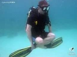 Buoynacy Training PADI courses