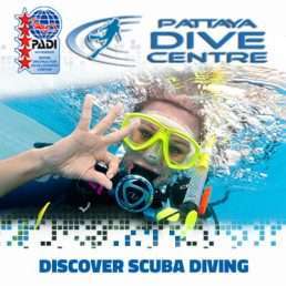 Discover Scuba Diving Pattaya-Dive-Centre