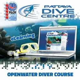 PADI Openwater Diver Course and eLearning Pattaya Thailand