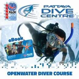 PADI Openwater Diver Course and ebook Pattaya Thailand