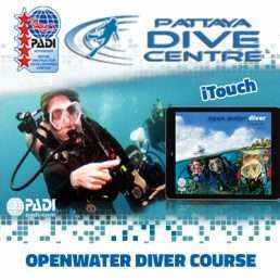 PADI Openwater Diver Course and iTouch Pattaya Thailand