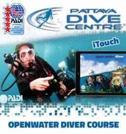 PADI Openwater Diver Course and iTouch Pattaya Thailand