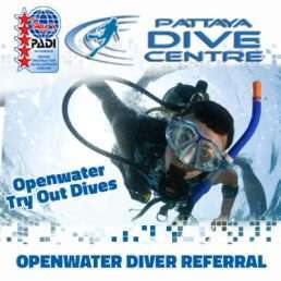 PADI Openwater REFERRAL Pattaya Thailand