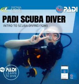 PADI Scuba Diver Training Course Pattaya in Thailand