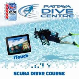 PADI Scuba Dver Course and touch Pattaya Thailand