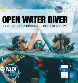 PADI open water diving courses at The Pattaya Dive Centre in Thailand
