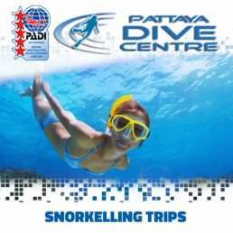 PDC snorkel trips