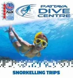 PDC snorkel trips