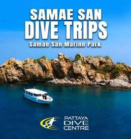 Samae San Dive Trips Thailand Pattaya Dive Centre