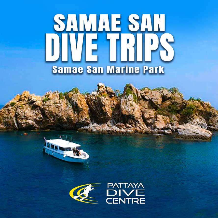 Samae San Dive Trips Thailand Pattaya Dive Centre