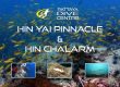 Hin Yai Pinnacle Diving Thailand