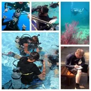 PADI Instructor Course Pattaya Thailand