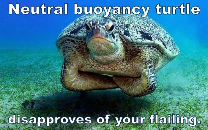 neutral-buoyancy-turtle-trim-scuba-diving-skills
