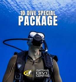 10 Dive Special Package diving pattaya