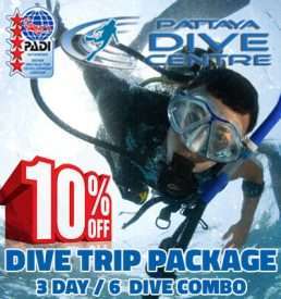 3 day 6 dive combo package diving in pattaya