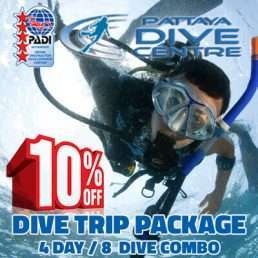 4 day 8 dive combo package diving in pattaya