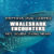Pattaya Whaleshark Encounters