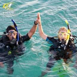 Learn to dive Package PADI diving in pattaya
