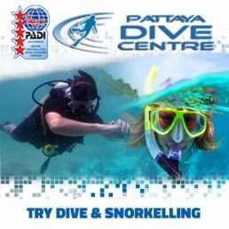 Pattaya Try dive snorkelling fun trip