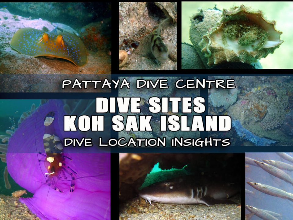 Koh Sak Island Dive In Pattaya Thailand