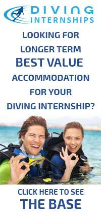 PADI Diving Internships Pattaya Thailand