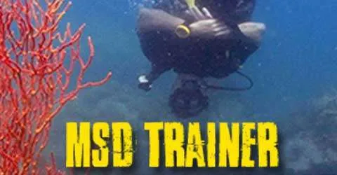 PADI Master scuba diver trainer