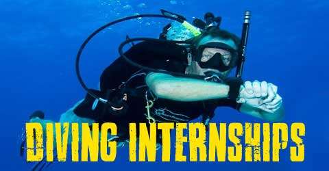 Pattaya Diving Internships Thailand