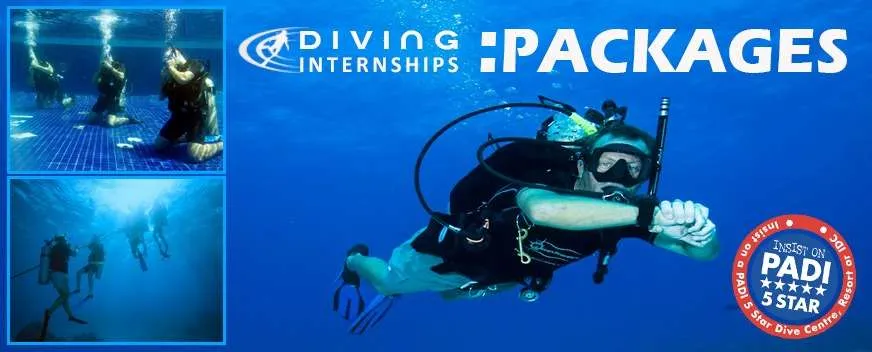 PADI pro diving internship pattaya Thailand