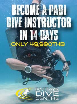 PADI DIve Instructor course special offer Pattaya Thailand