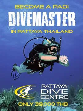 PADI Divemaster Courses Thailand Pattaya Dive Center