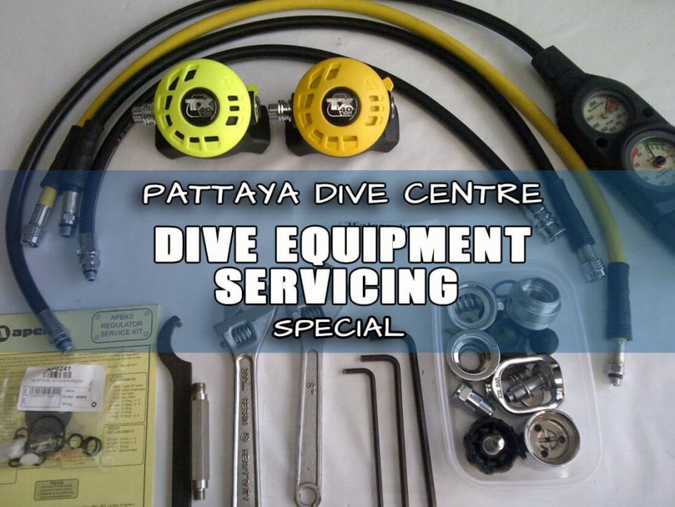 Dive Equipment Service