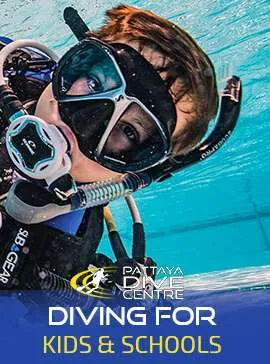 Diving For Schools