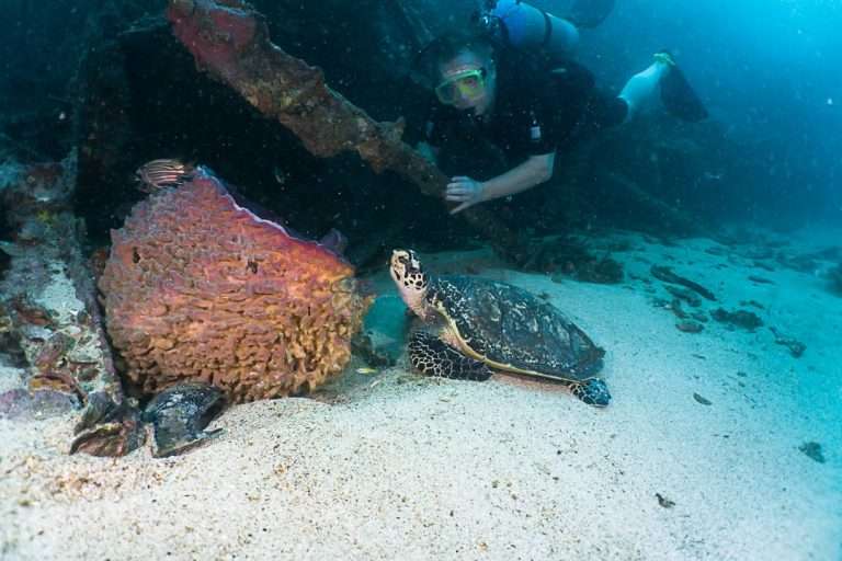 PADI Advanced Diving Course