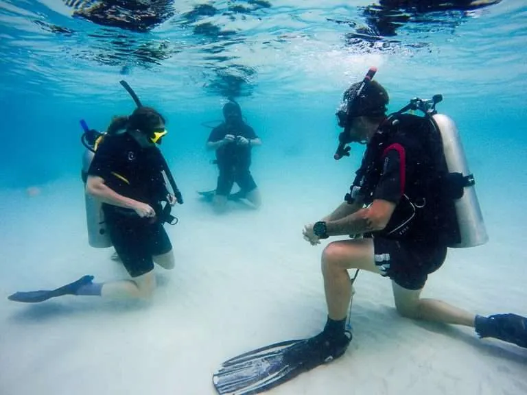 Open Water Training courses