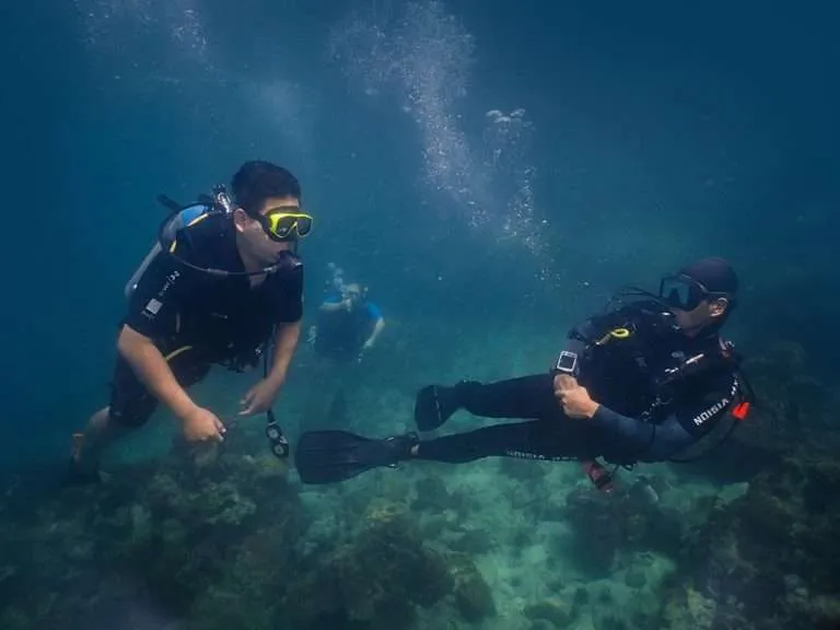 PADI Open water course divers Pattaya Dive Center