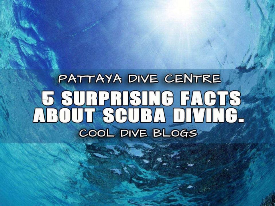 5 surprising facts about scuba diving Pattaya Dive Center