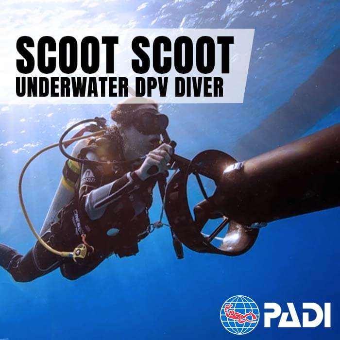 Padi Divemaster Crewpack Ultimate - Deutsch | Günstig Kaufen