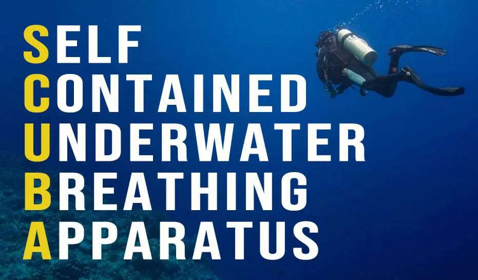 5-surprising-facts-about-scuba-diving
