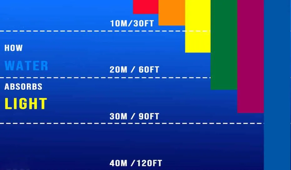 Scuba Facts study water absorbs light Scuba Facts study water absorbs light