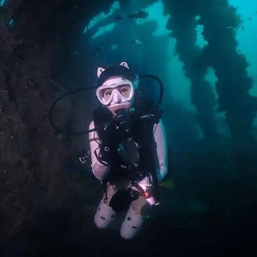 PADI Wreck Diver Best Specialty Courses Pattaya Thailand