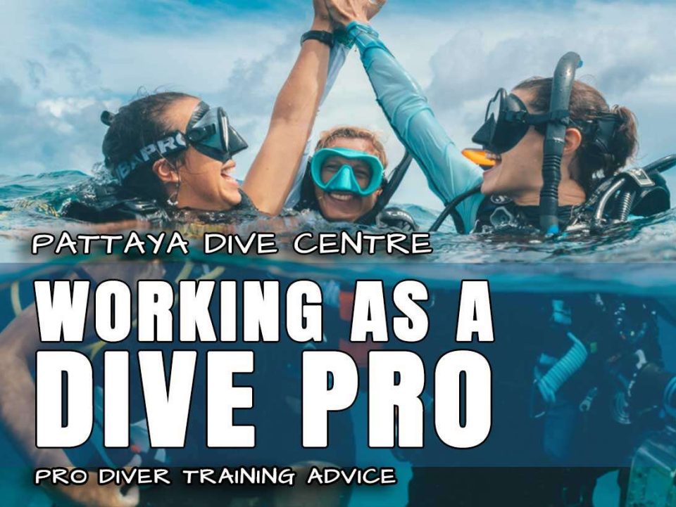 Working a Pro Diver in Thailand
