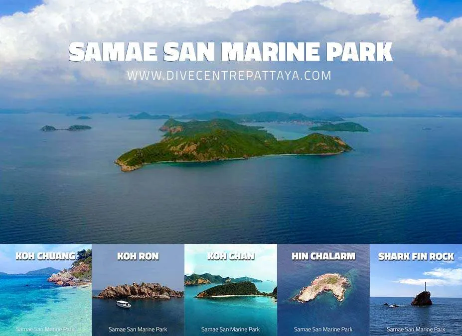 Diving Pattaya Samae San Marine park Diving Pattaya Samae San Marine park