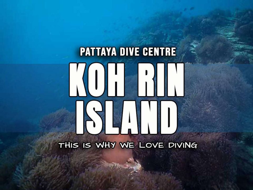 Diving at Koh Rin Pattaya Far Islands Thailand