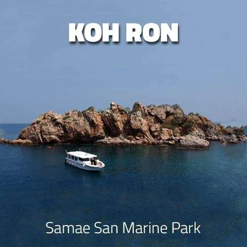 Koh Ron Island Dive Site Same San Marine Park Thailand Koh Ron Island Dive Site Same San Marine Park Thailand